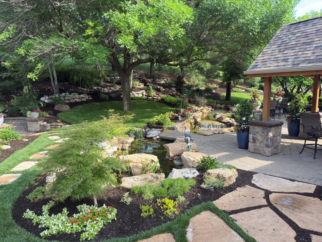 Backyard Koi Ponds - Pond Doctors & The Groundskeeper