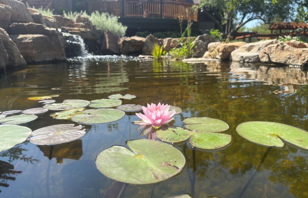 The Master Craftsmen’s Approach to Complex Leak Detection & Water Feature Repairs in Omaha