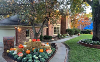 60 Years of Mastery Meets 2012 Stability: The History Behind Omaha’s Expert Outdoor Craftsmen