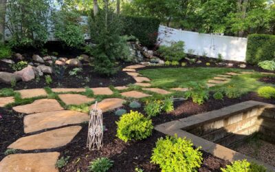 The Shield of Safety: How a Qualified Applicator License Protects Your Family, Plants, and Property