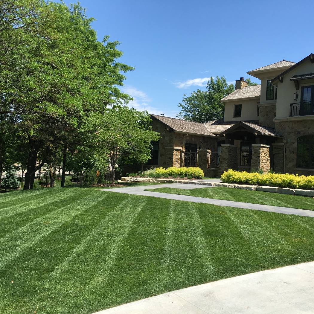 Seasonal Landscape Maintenance - Pond Doctors & The Groundskeeper