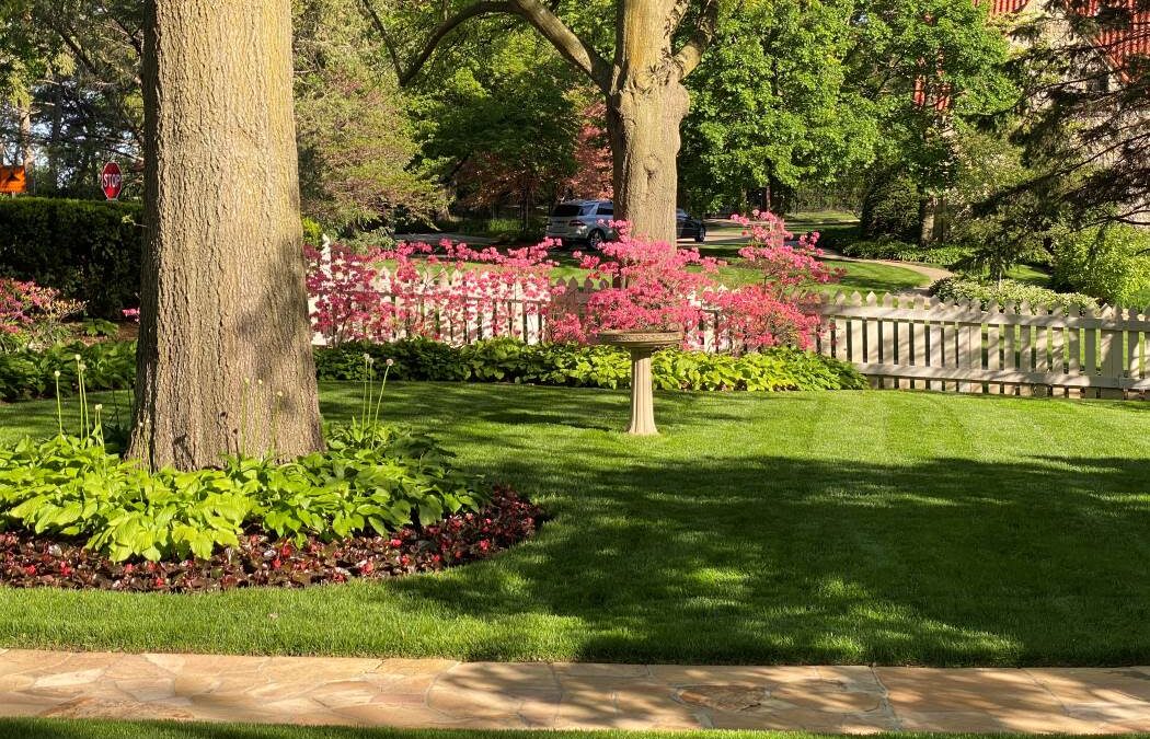 Transforming Your Outdoors: The Full Range of Landscaping Projects Handled by The Groundskeeper Division
