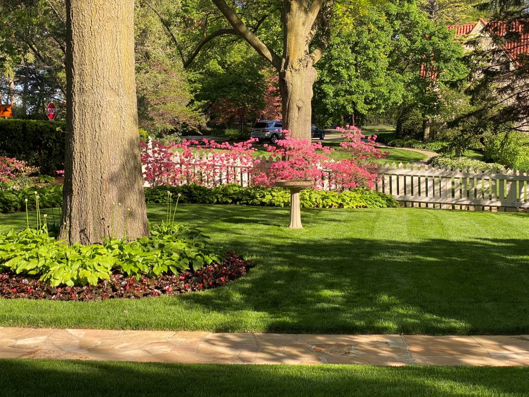 Seasonal Landscape Maintenance - Pond Doctors & The Groundskeeper