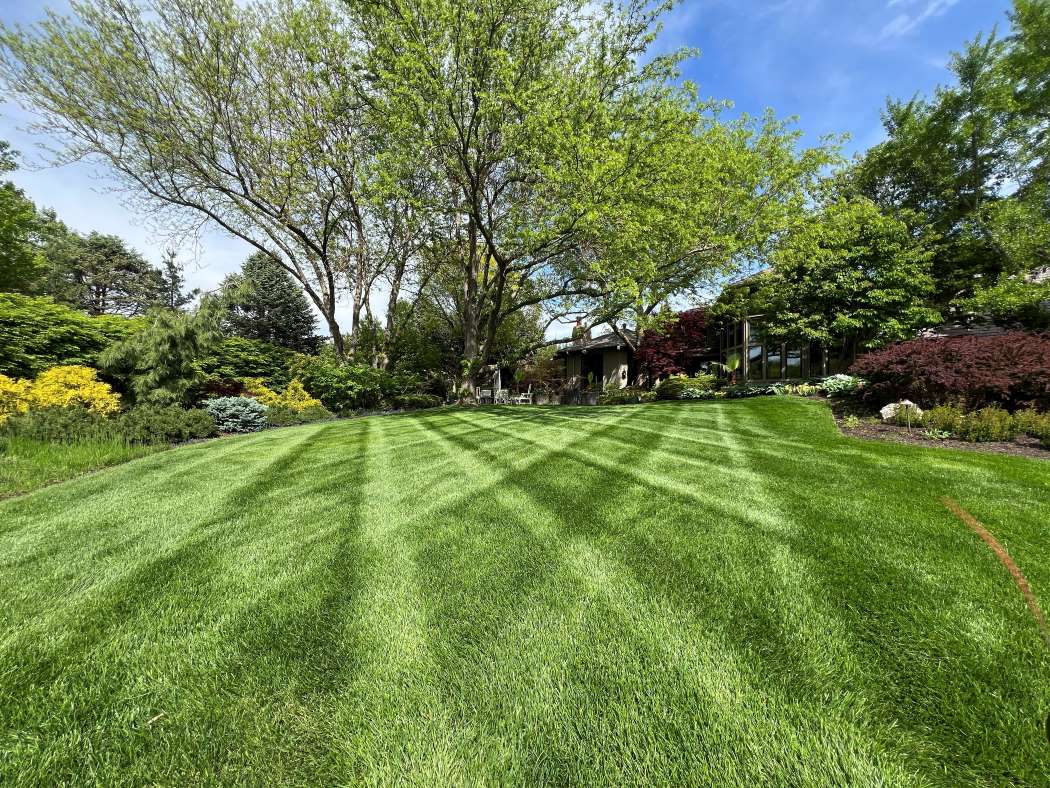 Seasonal Landscape Maintenance - Pond Doctors & The Groundskeeper