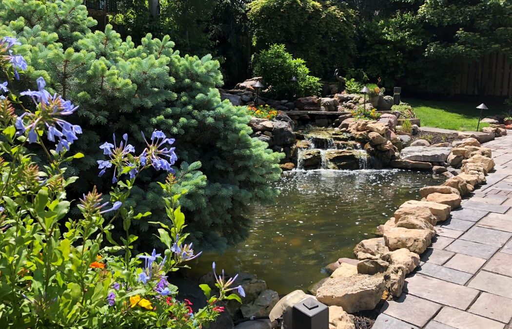 Dual Mastery: The Clear Distinction Between Pond Doctors and The Groundskeeper Divisions