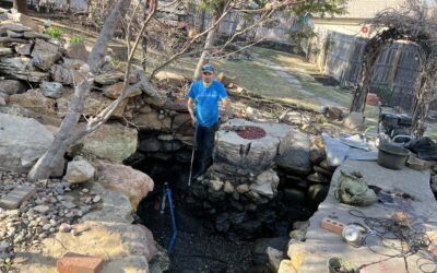 The Spring Clean-out: Why This Essential Annual Service is the Lifeblood of Your Pond