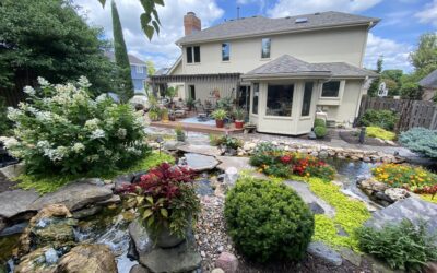 Our Legacy of Mastery: 2011 Founding and 60 Years of Pond & Landscape Expertise