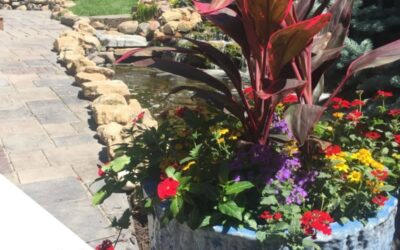 The Unified Vision: Meet the Master Craftsmen Guiding Pond Doctors & The Groundskeeper Leadership