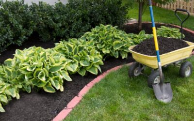 Year-Round Master Care: The Comprehensive Scope of Seasonal Landscape Maintenance in the Omaha Metro