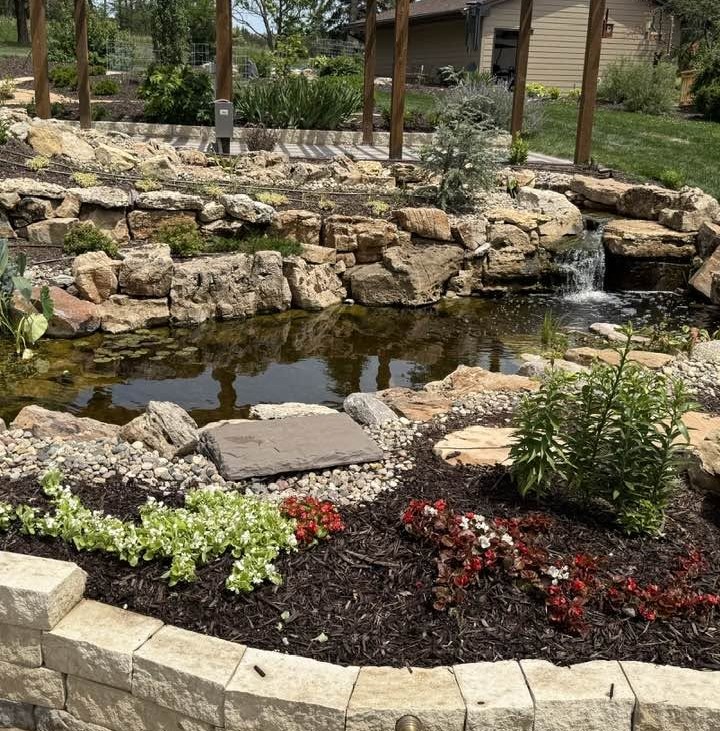 Backyard Koi Ponds - Pond Doctors & The Groundskeeper